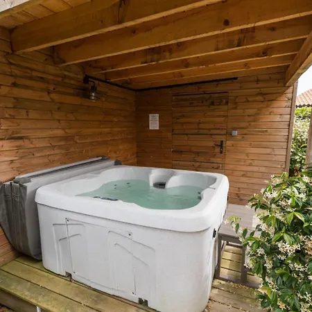 Callune * ביסקארוס