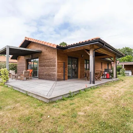 Callune * ביסקארוס