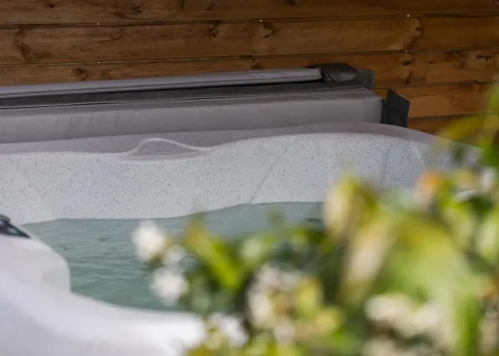 Callune * Biscarrosse